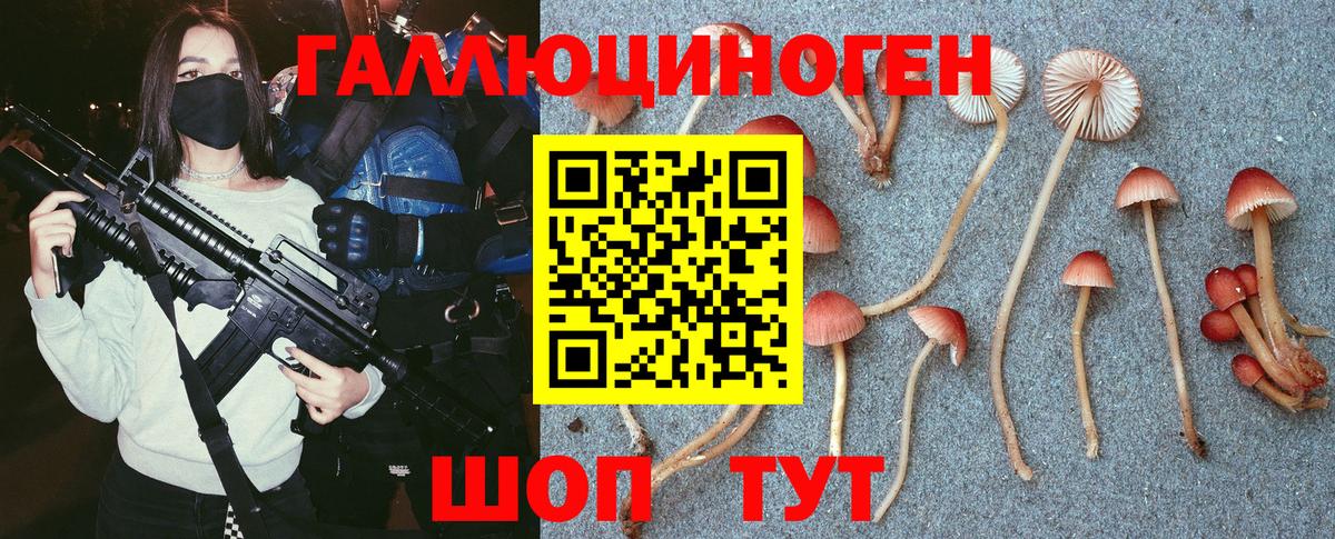 Нижневартовск  Псилоцибиновые грибы мухоморы  Вход с VPN 