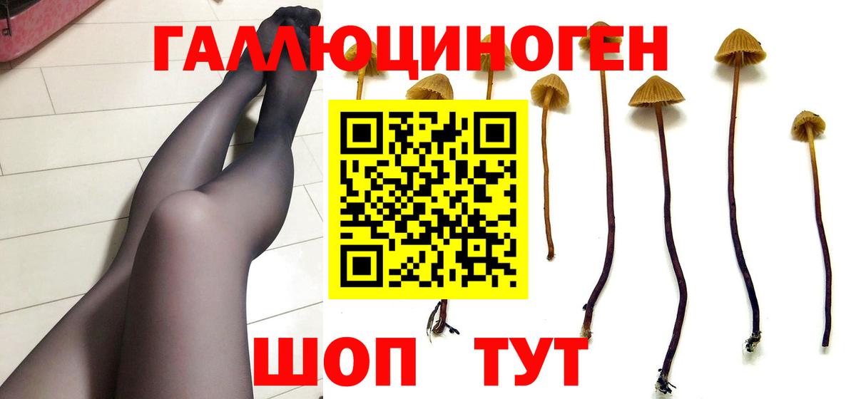 Псилоцибиновые грибы MAGIC MUSHROOMS Нижневартовск